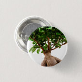 Ficus Ginseng Button (Vorne & Hinten)