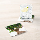 Ficus Ginseng Untersetzer (Vor Ort)