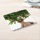 Ficus Ginseng Untersetzer (angewinkelt)