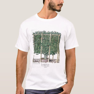 Ficus Indica eystettensis, vom 'Hortus Eystet T-Shirt