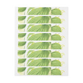 Ficus Pflanze 2 (Bogen)