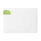 Ficus Pflanze 2 (Vorderseite)