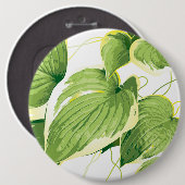 Ficus Pflanze 2 Button (Vorne & Hinten)