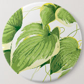 Ficus Pflanze 2 Button (Vorderseite)