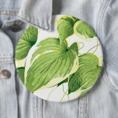 Ficus Pflanze 2 Button (Beispiel)