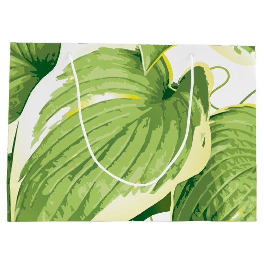 Ficus Pflanze 2 Große Geschenktüte (Rückseite)