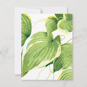 Ficus Pflanze 2 Mitteilungskarte