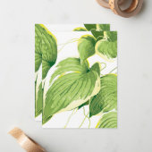 Ficus Pflanze 2 Mitteilungskarte (Vorderseite/Rückseite Beispiel)