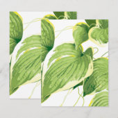 Ficus Pflanze 2 Mitteilungskarte (Vorne/Hinten)