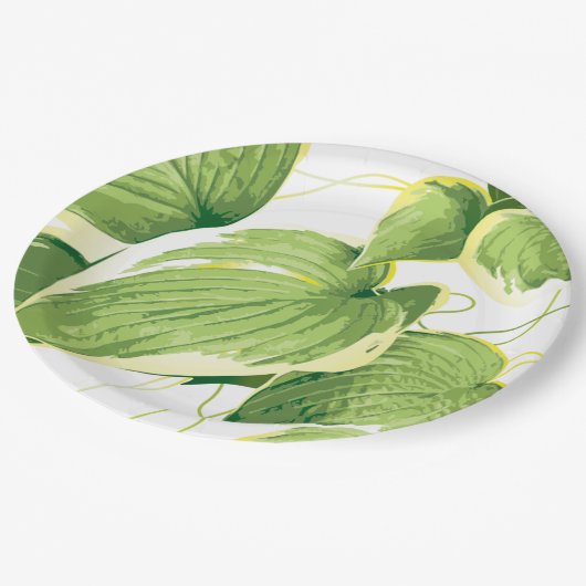 Ficus Pflanze 2 Pappteller (Schrägansicht)