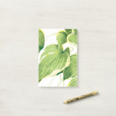 Ficus Pflanze 2 Post-it Klebezettel (Auf Schreibtisch)