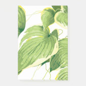 Ficus Pflanze 2 Post-it Klebezettel (Vorderseite)