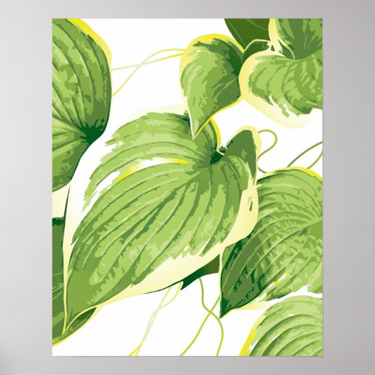 Ficus Pflanze 2 Poster (Vorne)