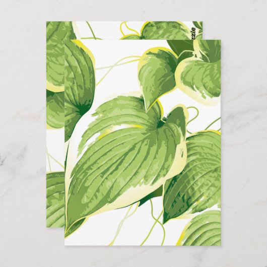 Ficus Pflanze 2 Postkarte (Vorne/Hinten)