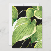 Ficus Pflanze 3 Dankeskarte (Rückseite)