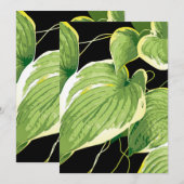 Ficus Pflanze 3 Dankeskarte (Vorne/Hinten)