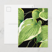 Ficus Pflanze 3 Feiertagspostkarte (Vorne/Hinten)