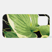 Ficus Pflanze 3 iPhone Hülle (Rückseite (Horizontal))