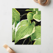 Ficus Pflanze 3 Mitteilungskarte (Vorderseite/Rückseite Beispiel)