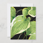 Ficus Pflanze 3 Mitteilungskarte (Rückseite)