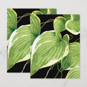 Ficus Pflanze 3 Mitteilungskarte (Vorne/Hinten)