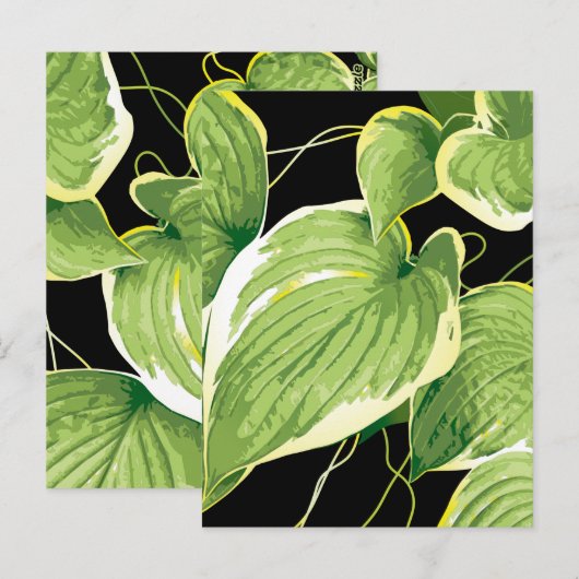 Ficus Pflanze 3 Postkarte (Vorne/Hinten)