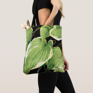 Ficus Pflanze 3 Tasche