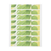 Ficus Pflanze 4 (Bogen)