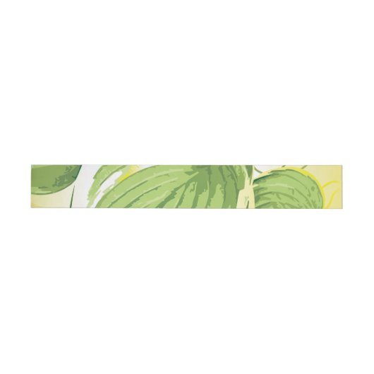 Ficus Pflanze 4 (Person)