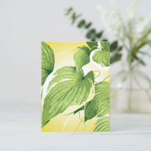 Ficus Pflanze 4 Postkarte