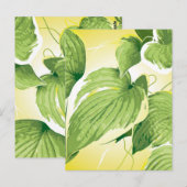 Ficus Pflanze 4 Postkarte (Vorne/Hinten)
