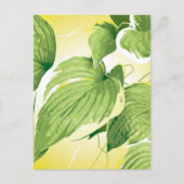 Ficus Pflanze 4 Postkarte (Vorderseite)
