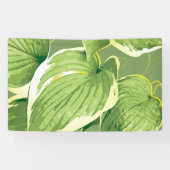 Ficus Pflanze 5 Banner (Horizontal)