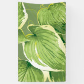 Ficus Pflanze 5 Banner (Vertikal)