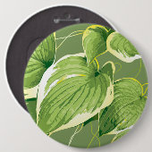 Ficus Pflanze 5 Button (Vorne & Hinten)