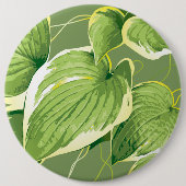 Ficus Pflanze 5 Button (Vorderseite)