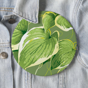 Ficus Pflanze 5 Button