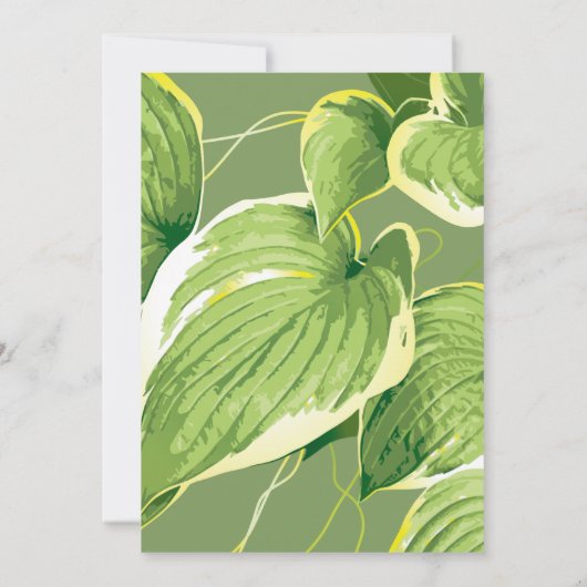 Ficus Pflanze 5 Dankeskarte (Rückseite)