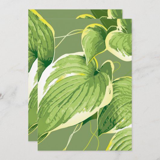 Ficus Pflanze 5 Dankeskarte (Vorne/Hinten)