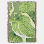 Ficus Pflanze 5 Decke (Vorderseite Vertikal)