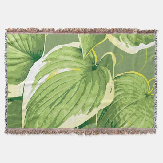 Ficus Pflanze 5 Decke (Vorderseite)