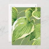 Ficus Pflanze 5 Feiertagspostkarte (Vorne/Hinten)