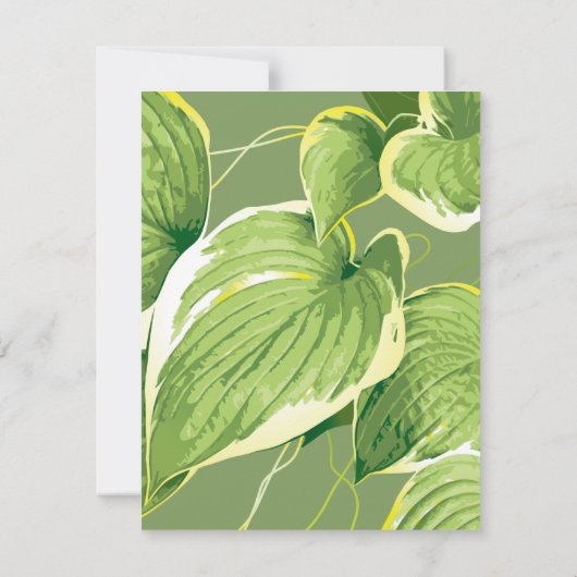 Ficus Pflanze 5 Mitteilungskarte (Rückseite)