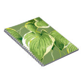 Ficus Pflanze 5 Notizblock (Rechte Seite)