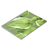Ficus Pflanze 5 Notizblock (Linke Seite)