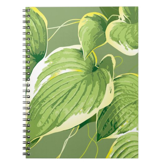 Ficus Pflanze 5 Notizblock (Vorderseite)