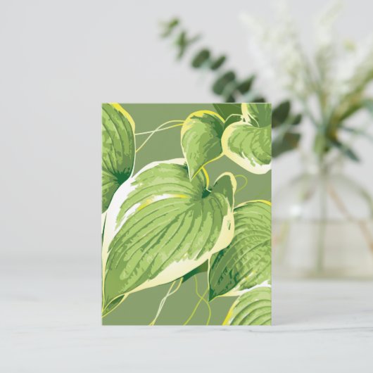 Ficus Pflanze 5 Postkarte (Stehend Vorderseite)