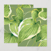 Ficus Pflanze 5 Postkarte (Vorne/Hinten)