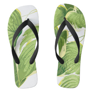 Ficus Pflanze Badesandalen