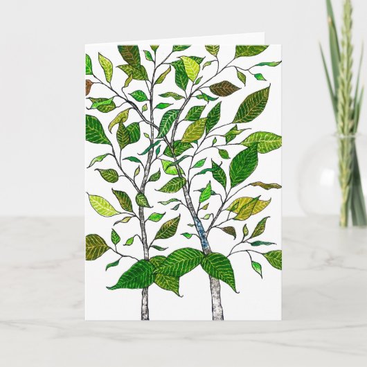 Ficus-Pflanze Farbstift Baum Zeichnung Karte (Vorderseite)